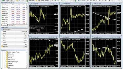 Part 3 of 9 - Raghee Horner Feb 09 Webinar - Interbank FX Custom Tools