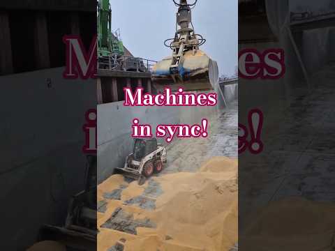 How Sand Is Unloaded Using Massive Machines 😮