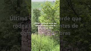 Último vistazo al verde que rodea la cabaña antes de comenzar las obras 🙊 #cantabriainfinita