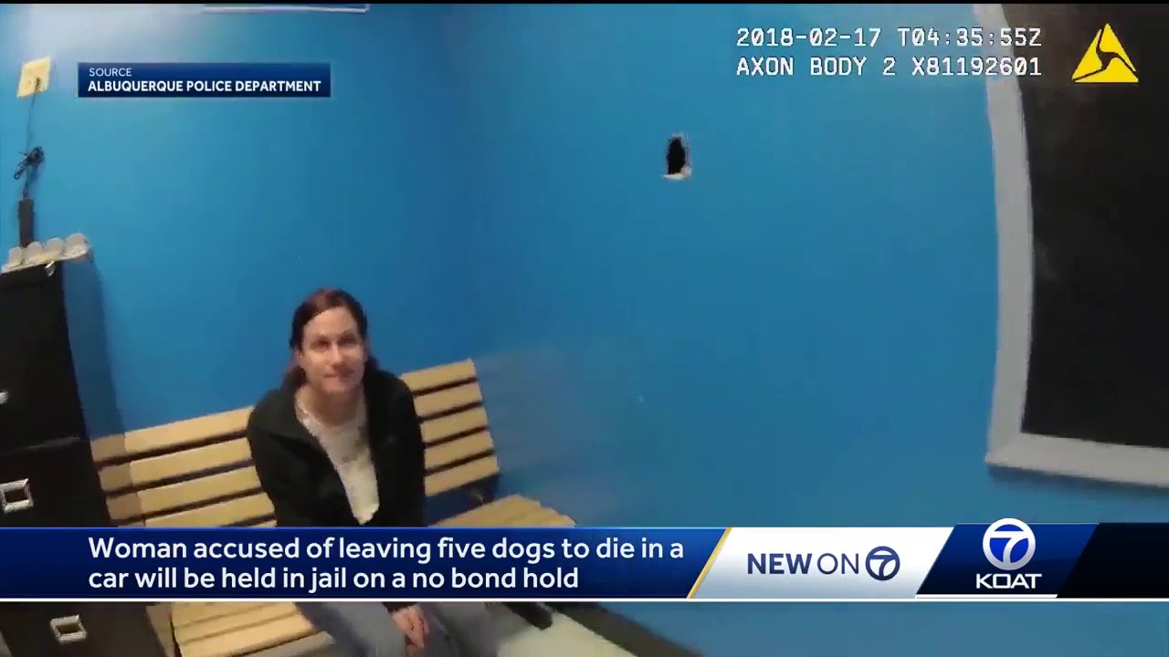 Woman accused of leaving five dogs to die in car will stay in jail ...