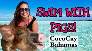 Swimming Pigs Tour - Perfect Day Cococay, Bahamas (EXCURSION REVIEW)