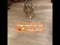 اول مره اشوف بومه تناظر بومه 