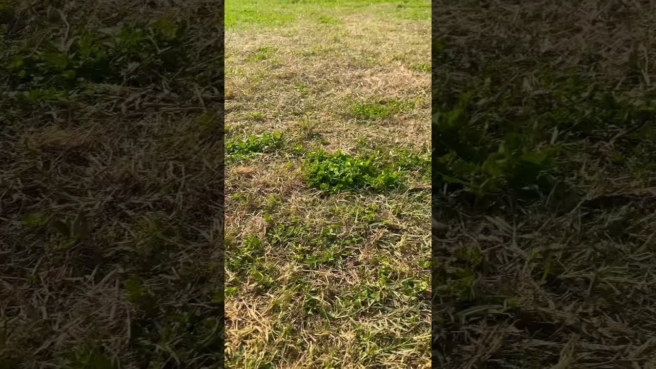 UOG Life | UOG Students View