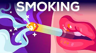 cover of episode Smoking is Awesome