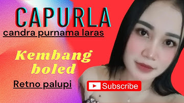KEMBANG BOLED VOC RETNO PALUPI // CAPURLA