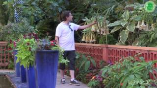 Hortus Focus, le Vivant d'abord