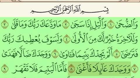 سورة الضحى بصوت القارئ ياسر الدوسري #ياسر_الدوسري #قران_كريم
