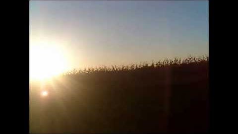 Pulsating Sun 10 14 15