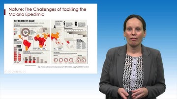 Digital Scholar Workshop: Creating Compelling Infographics