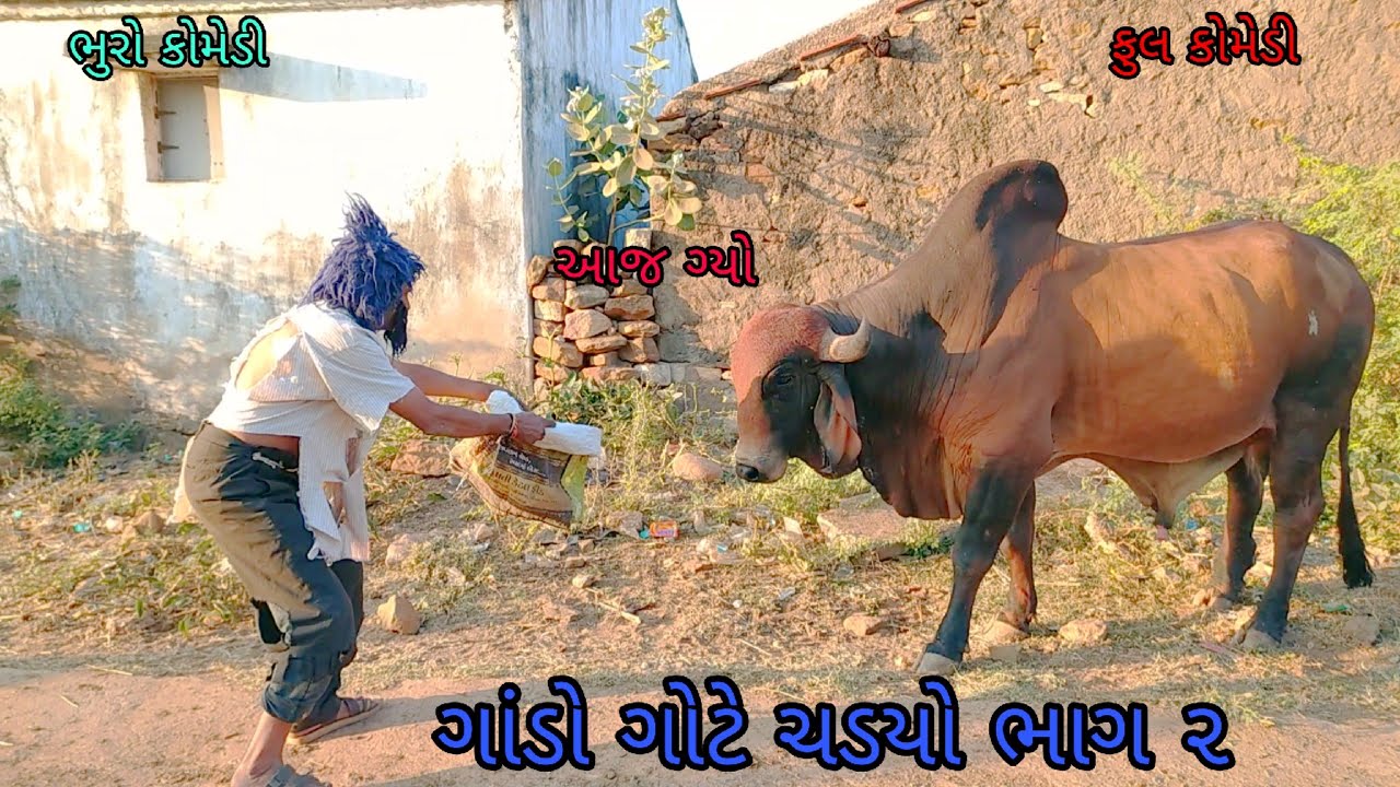 ગાંડો ગોટે ચડયો ભાગ ૨|bhurocomedy |gujaraticomedy |bccomedy