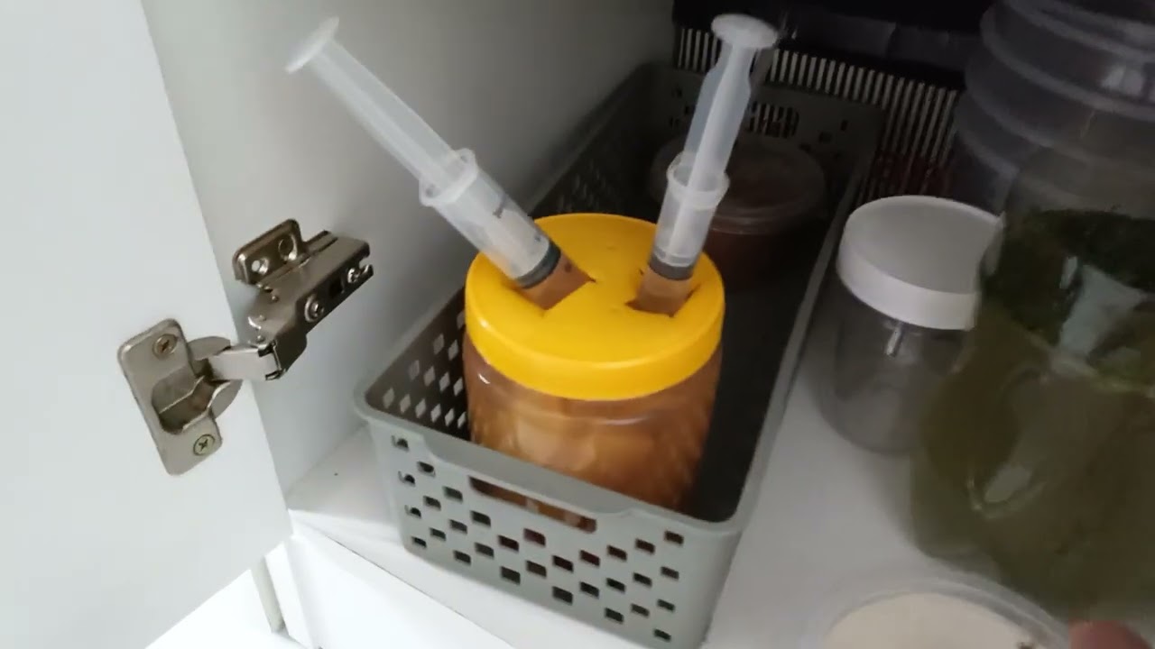 Como conseguir paramécios e criar paramécios.