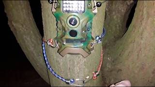 How to view trail camera footage on windows desktop