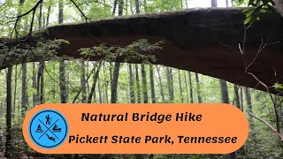 Natural Bridge Hike, Pickett State Park, Tennessee