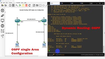 OSPF Single area configuration | GNS3 lab | Open Shortest Path First | Technical Hakim