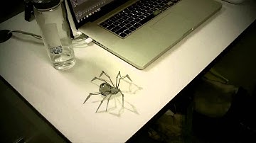 camera tracking   inverse kinematics