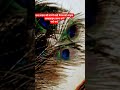 मिल्टन में भी राधा मेरे मन में भी राधा रोम रोम में समय तेरानाम रे Radha Shyam bhajan#viral bhajan