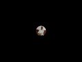 Live highlight