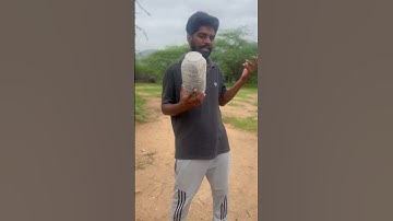 Smalll Knowledge ￼cobra rescue. #snake #foryou #explore #shortsfeed