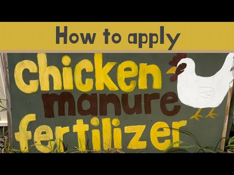 HOW TO APPLY