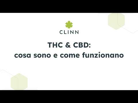 Video THC & CBD: cosa sono e come funzionano
