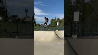 How to jump a spine on a Bmx bike