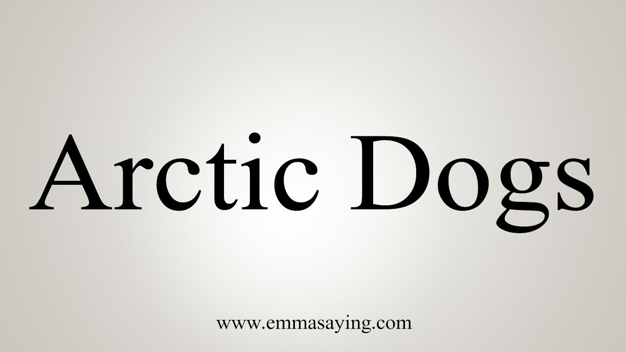 how-to-pronounce-arctic-dogs-youtube