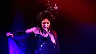 Schwarz Stein - Type of another cell (4.16.2021) live - 4K AI Upscale