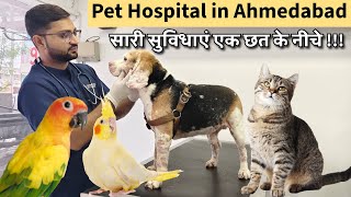 Animal Hospital in Ahmedabad Gujarat | Dog, Cat, Rabbits, Birds and Tortoise | Doctor Savan Patel