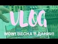 VLOG: WOW! Весна в Дании! Как это у них проходит :-)