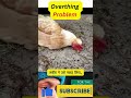 osho talked about overthinkers | overthing problem  #osho #oshohindi #oshoquotes
