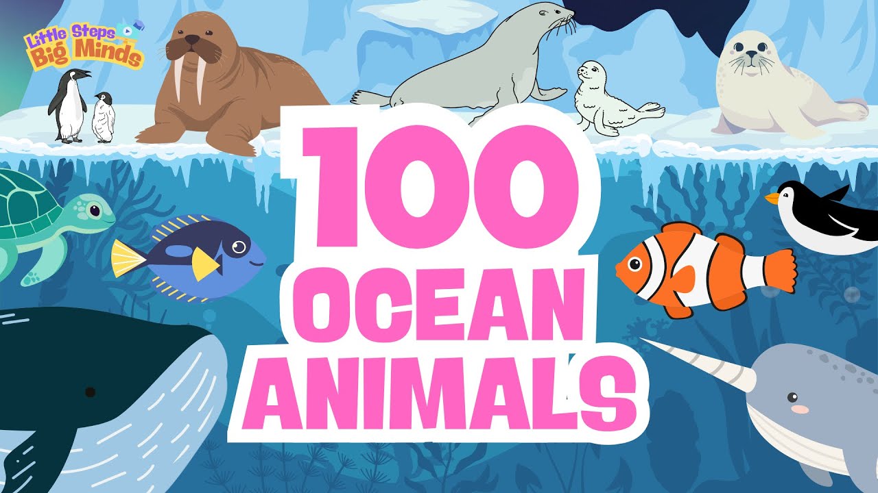 100 Ocean Animals for Kids | Learn the Different Creatures under the Sea