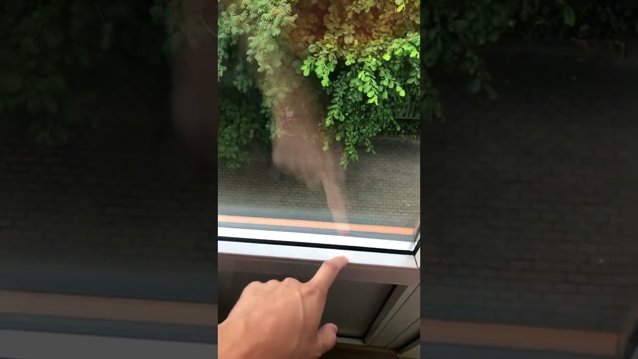 Iemesli, kādēļ pvc logi svīst