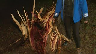 DFW weather: What we're seeing after radar-confirmed tornado in Johnson County
