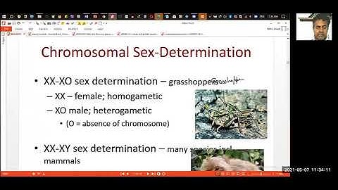 Sex-linked inheritance -1