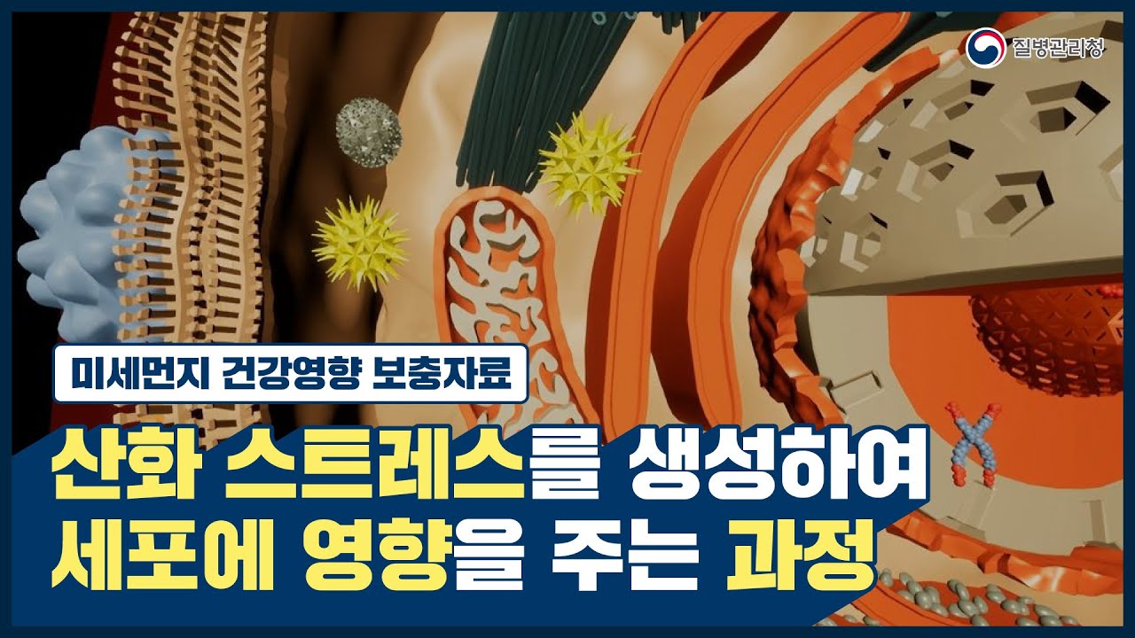 [미세먼지 건강영향 보충자료] 산화 스트레스 생성하여 세포에 영향을 주는 과정