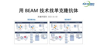 【陈巍学基因】用BEAM技术找单克隆抗体