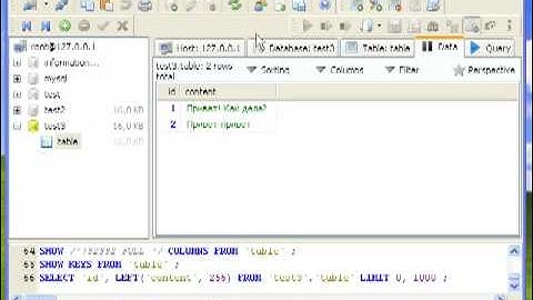 HeidiSQL видеоинструкция #2