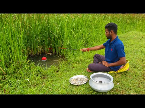 Fishing Video || The skilled boy caught fish by choosing the right spot from the village canal