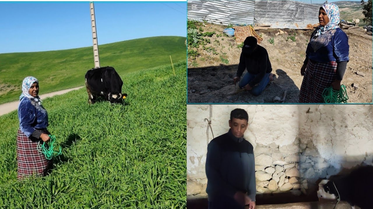 الله يخلي ليا خوتي كبروا بيا🥰عاونت بلي قديت عليه🤗الله يكمل ليهم فداك شي لي باغين🤲الخاوة حدها الدنيا