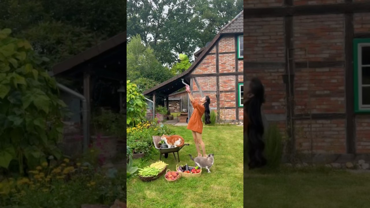 Harvest with me 🌿 September edition 🍑🥒🍓🥒🥕