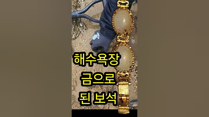 해수욕장 금으로 된 보석 /#취미생활 #금속탐지기 #metaldetecting #탐험 #adventuretime #탐사 #gold #find #여가생활