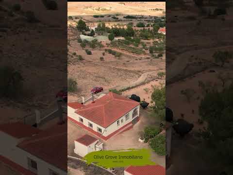 Olive Grove Estates - Country Villa Montealegre del Castillo