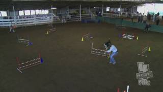 Pepper - Sat Colors Level 2 - WAG CPE Trial.mov