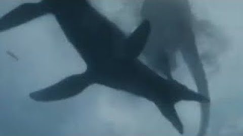 Amazing Dinoworld (2019) - Pliosaurus Screen Time