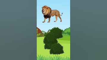 Focus Test For Genius 🤯🧠 #brainfocustest #riddles #puzzle #braintest #shorts #factjunktion #quiz