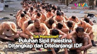 IDF Tangkap dan Telanjangi Puluhan Warga Sipil Palestina