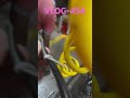 Royal enfield hunter 350 insurance claim -454