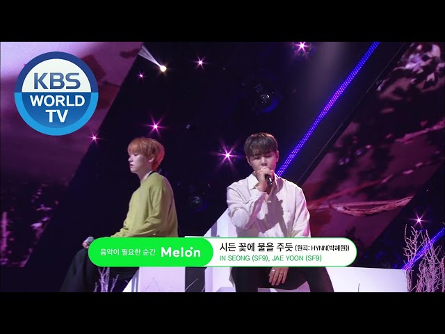 SF9 インソン ツーショット INSEONG Sf9 Inseong | TikTok