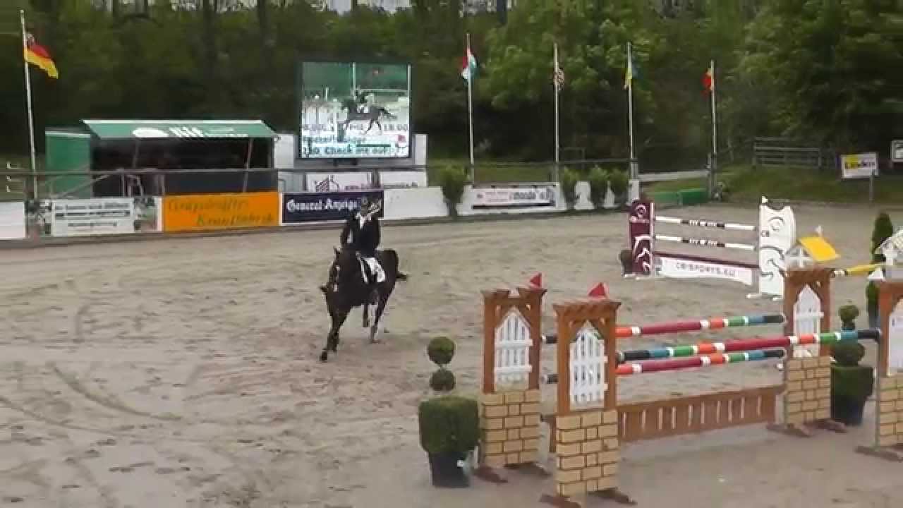 "Check me Out", 9yo by Contendro II, 1.40m class, Holger Hetzel Stables