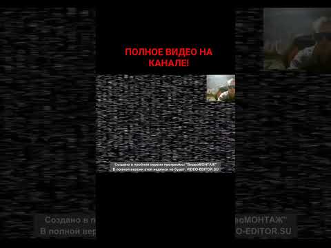 Скример от Фокси #fnaf #фокси #MAXON_PRO! #пятьночейсфредди #прохождение #рекомендации